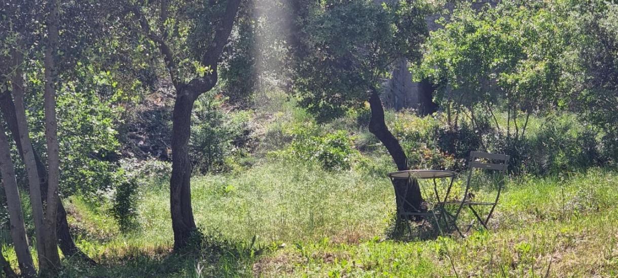 Les Bois De Zola Entre Provence Et Luberon Aparthotel Saint-Esteve-Janson Rom bilde