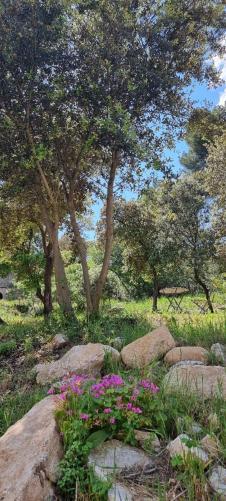 Les Bois De Zola Entre Provence Et Luberon Aparthotel Saint-Esteve-Janson Eksteriør bilde