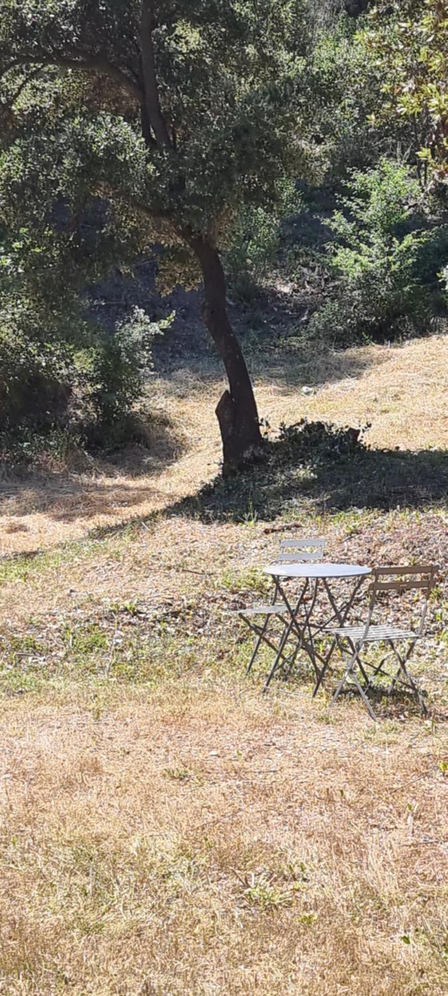 Les Bois De Zola Entre Provence Et Luberon Aparthotel Saint-Esteve-Janson Eksteriør bilde